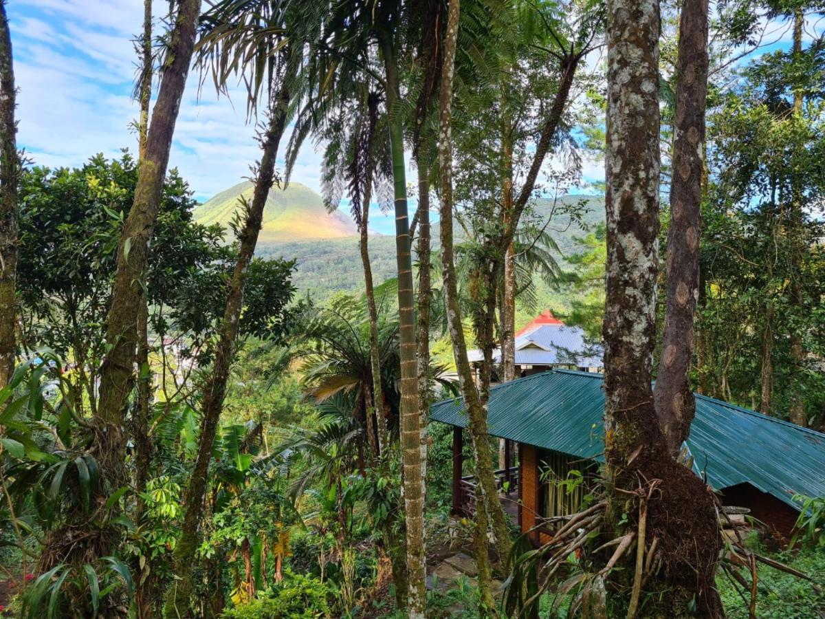Rimba Eco Resort Tomohon Extérieur photo