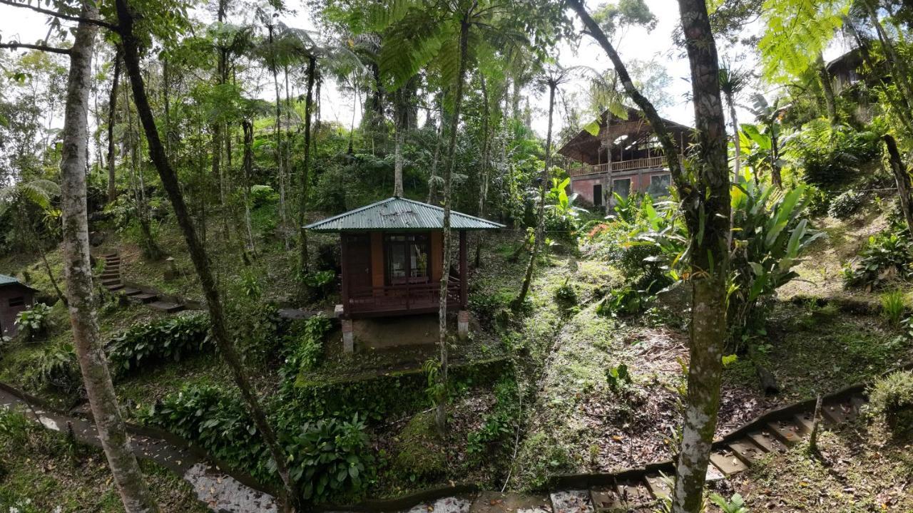 Rimba Eco Resort Tomohon Extérieur photo