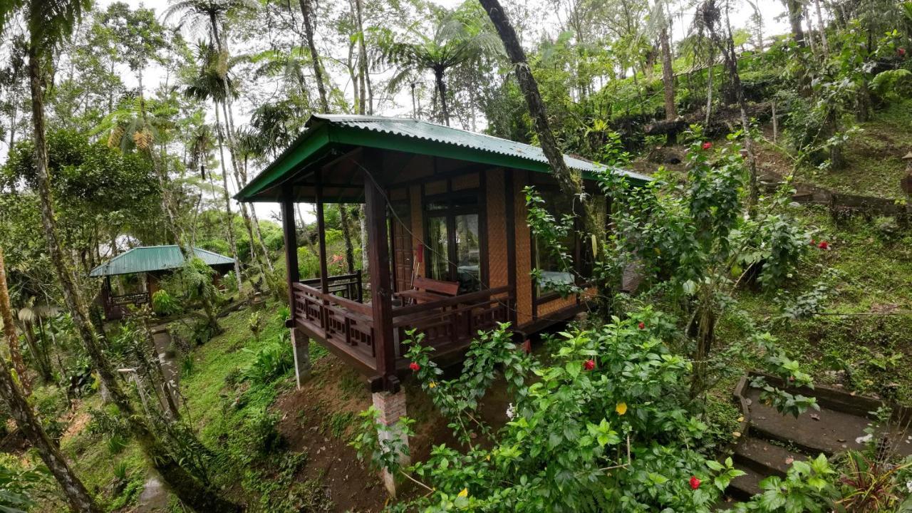 Rimba Eco Resort Tomohon Extérieur photo