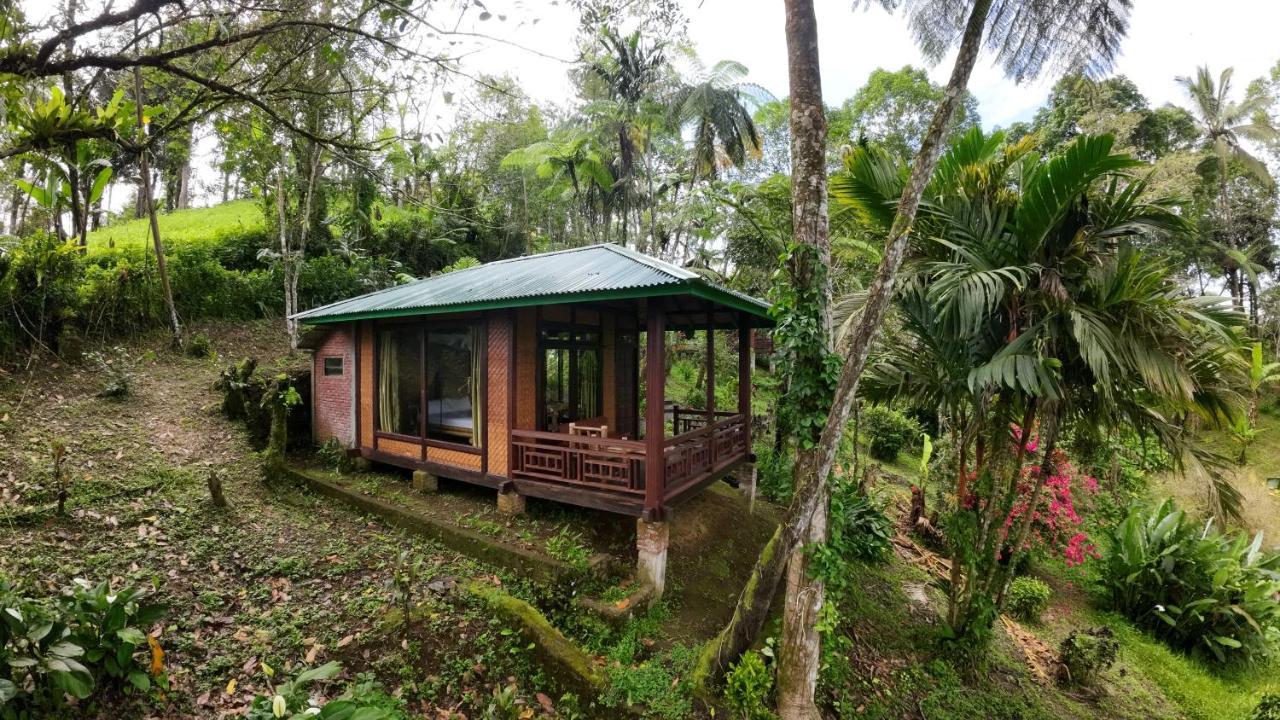 Rimba Eco Resort Tomohon Extérieur photo