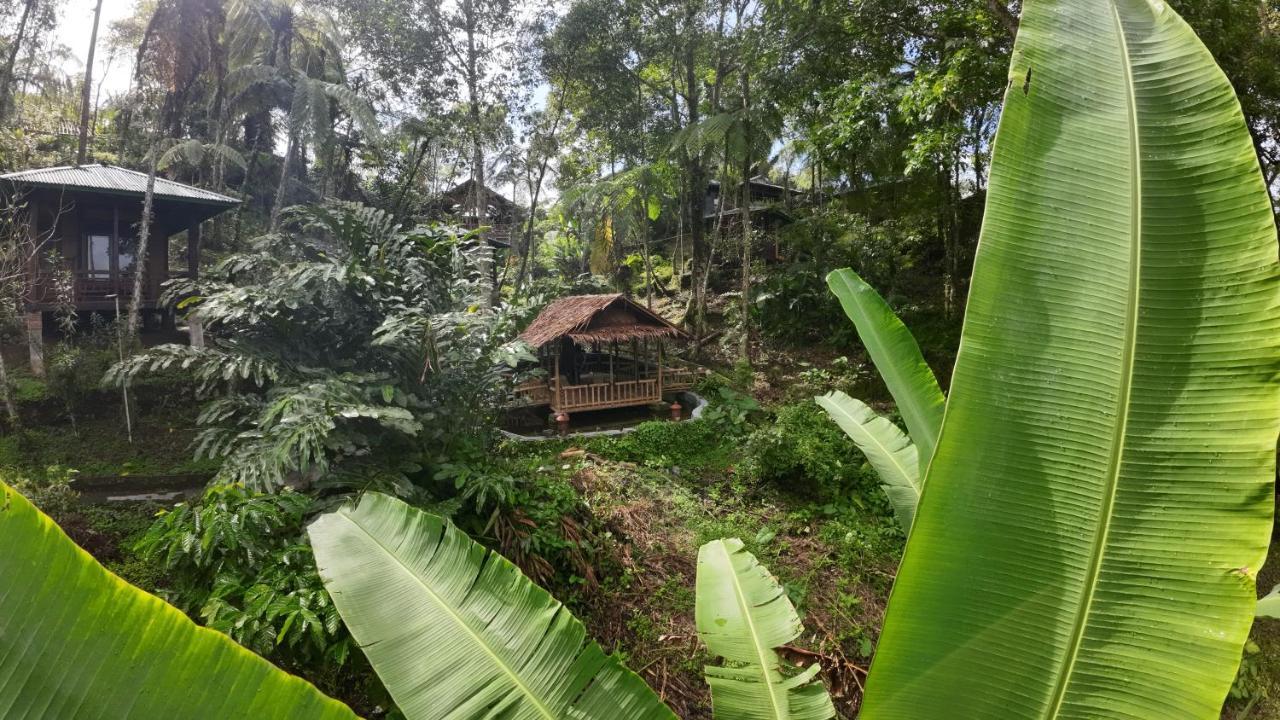 Rimba Eco Resort Tomohon Extérieur photo