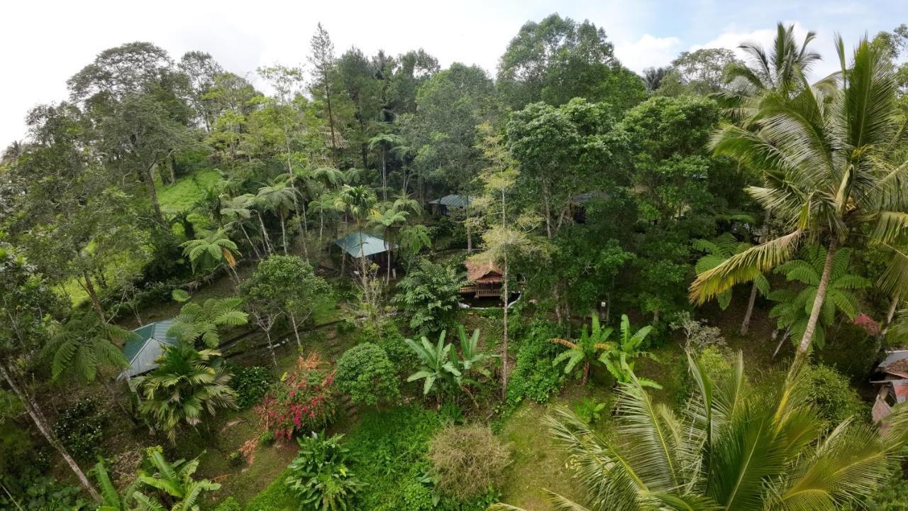 Rimba Eco Resort Tomohon Extérieur photo