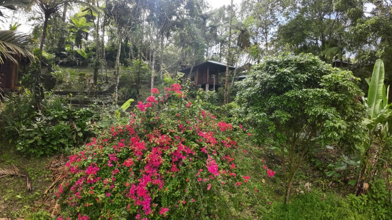 Rimba Eco Resort Tomohon Extérieur photo