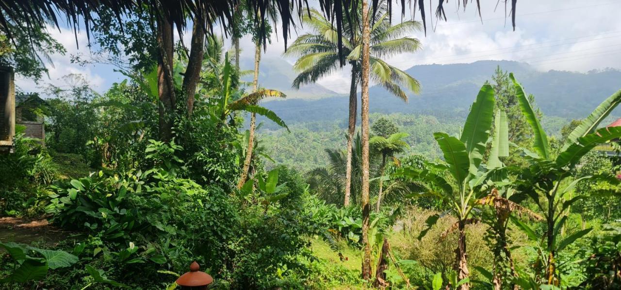 Rimba Eco Resort Tomohon Extérieur photo