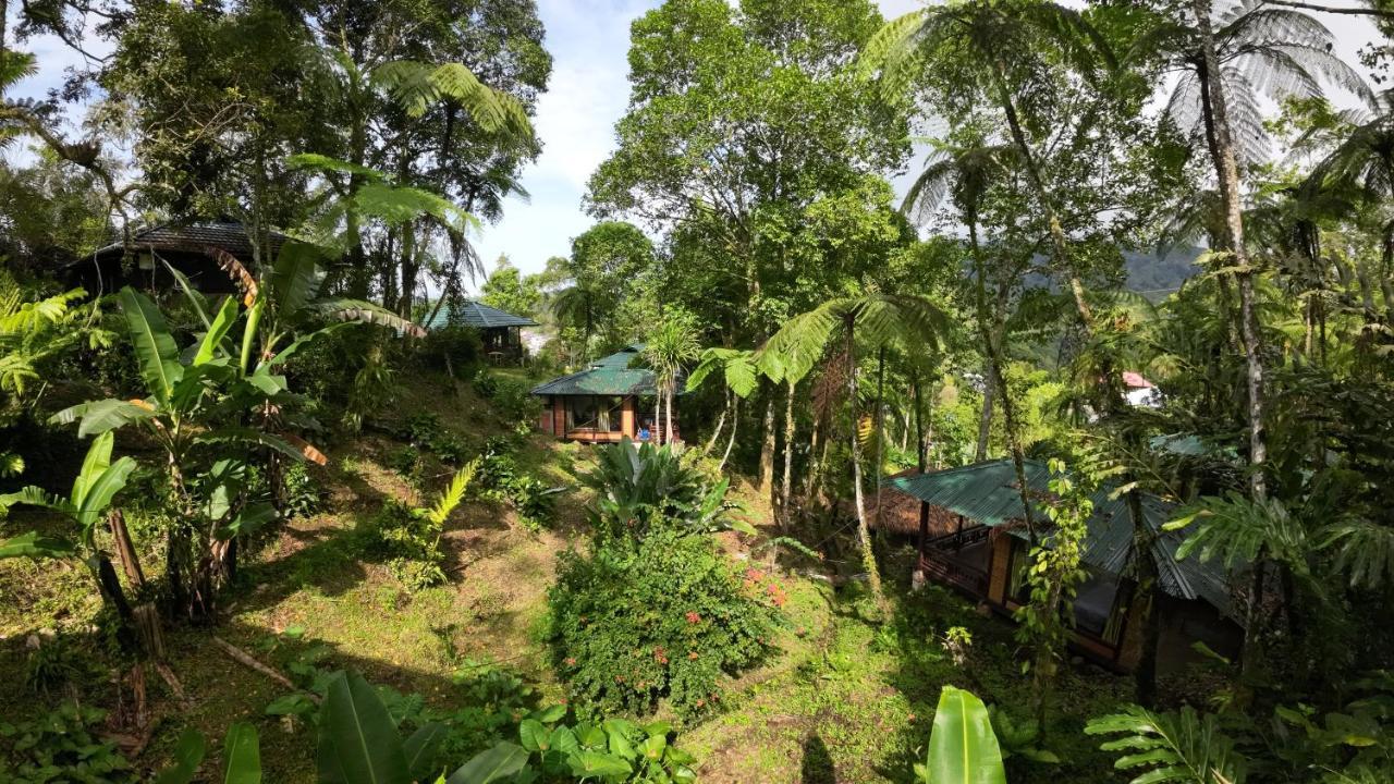Rimba Eco Resort Tomohon Extérieur photo
