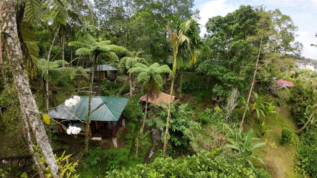 Rimba Eco Resort Tomohon Extérieur photo