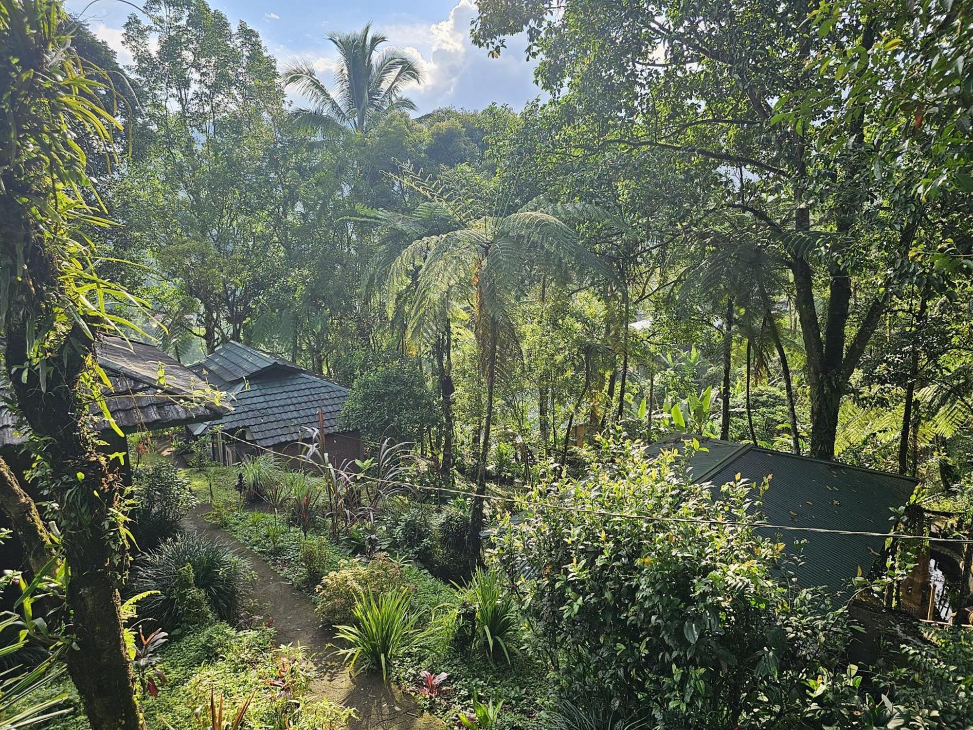 Rimba Eco Resort Tomohon Extérieur photo
