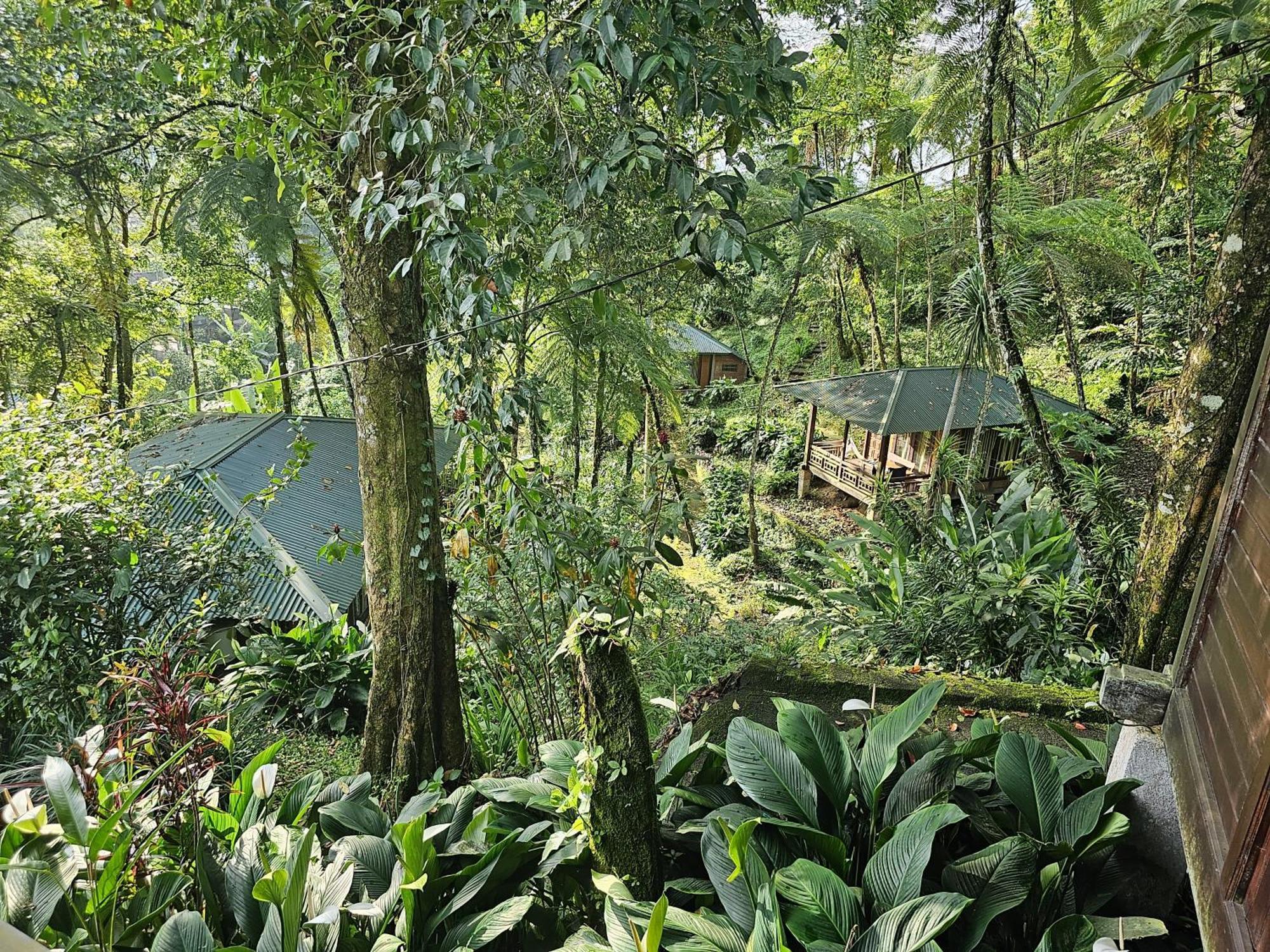 Rimba Eco Resort Tomohon Extérieur photo